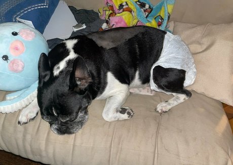 russische muschi nur fans nackt hd galerien