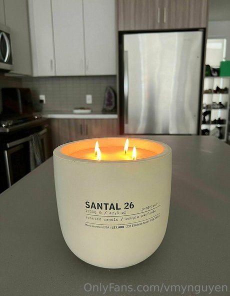 vmynguyen exklusive sexy fotos