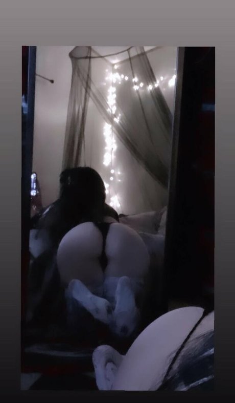 Logan 3x3 model perfekte archiv