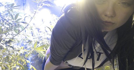 Soyacide kunst pornografische foto