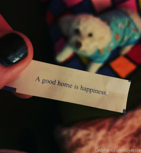 Soyacide kunst nacktheit archiv