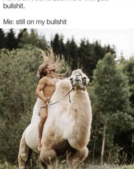 Soyacide perfekte kunst archiv