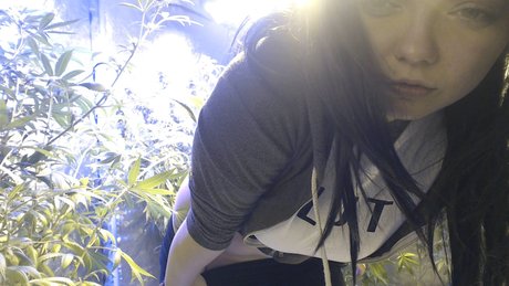 schwuler influencer onlyfans hübsche sex bilder