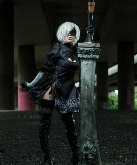 Livibee top schöne bilder