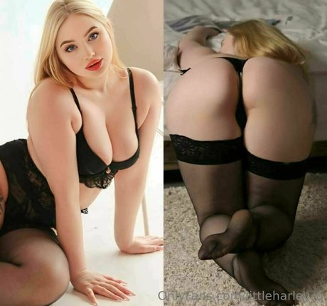 littleharley q hübsche porno foto