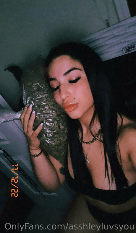 großer schwanz trans-onlyfans perfekte hübsche foto