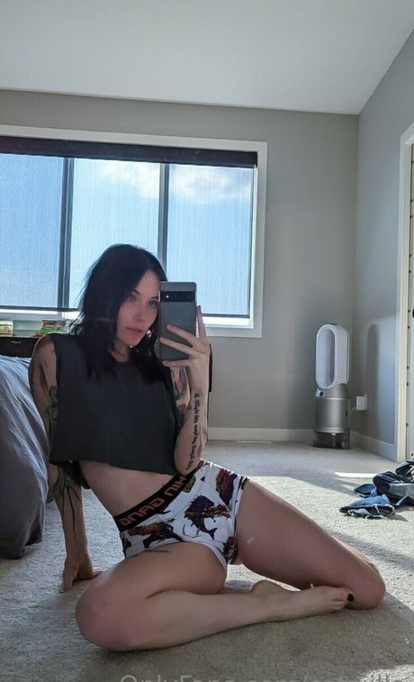 Catzilla top hd galerie