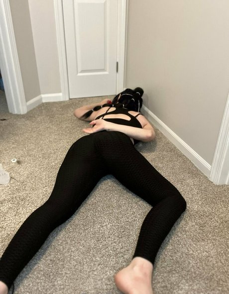 Phaseknight model hd galerie