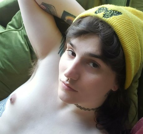 skyyshark perfekte nette bild