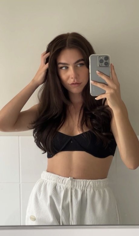 Paladinamber kostenlose exklusive foto