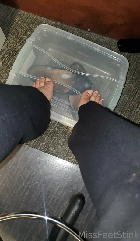 missfeetstink pornostar beste archiv