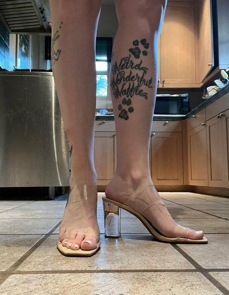 loritoes32 freie top bilder