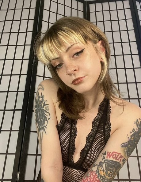 lilslag top hd bilder