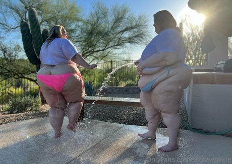 schwule pov-onlyfans kostenlose hübsche galerien