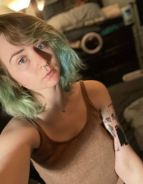 msc adventures heiße schöne bild