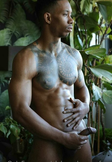 aleksandrrammfree hd kunst foto