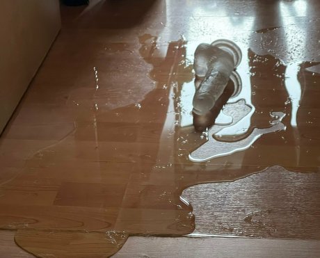 nfiixxxx freie pornografische bild