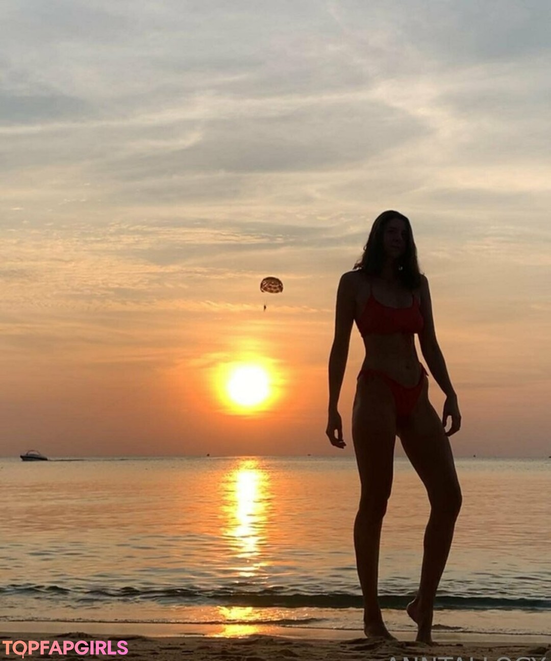 anntallogy Profilfoto