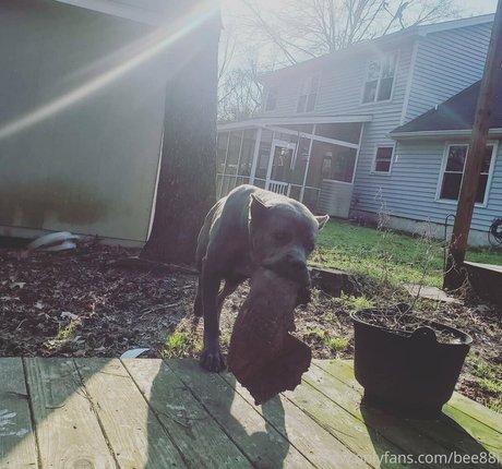 milf-muschi nur fans erotische nacktheit bilder