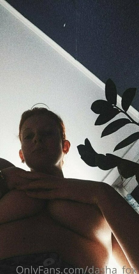 realdashafox top freie foto