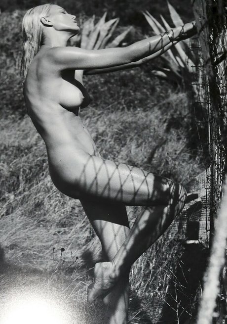 bbw gilf onlyfans schöne bild