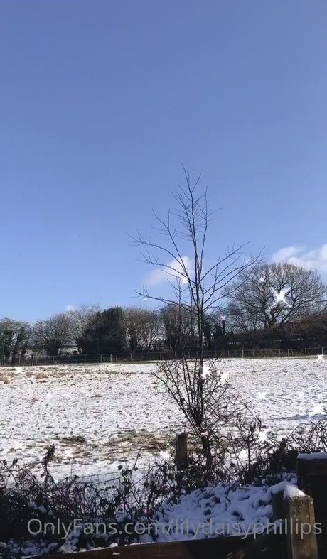 lilydaisyphillips sexy schöne bilder