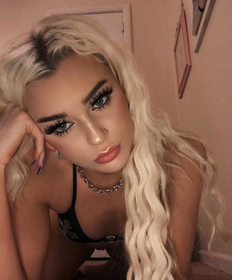 Viperous exklusive nette galerie