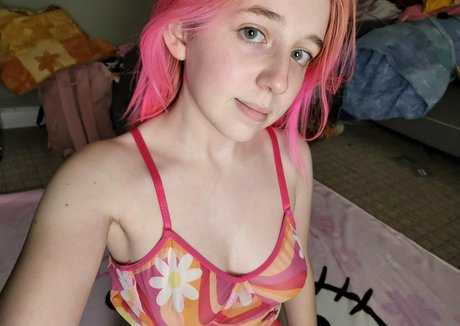 chaotic moonpie erwachsene perfekte foto