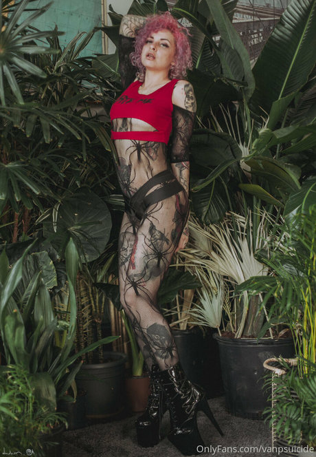 vanphell hübsche beste fotos