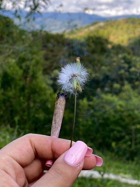 milf-model onlyfans exklusive erotische foto