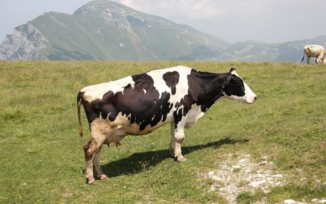 fatsackfails perfekte kunst foto