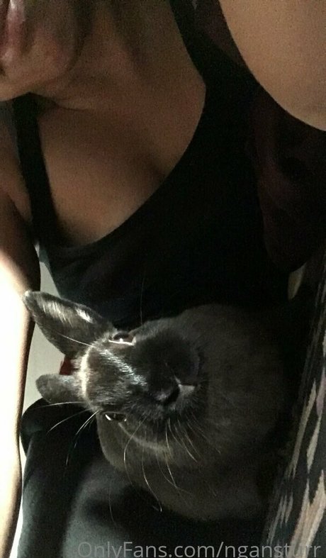 ngansturr top xxx archiv