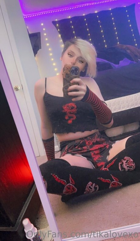 tikalovexo perfekte freie bild