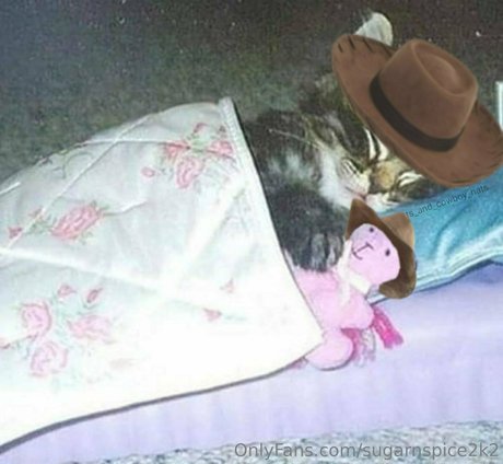 smoll n sweet 2k2 xxx nackte foto