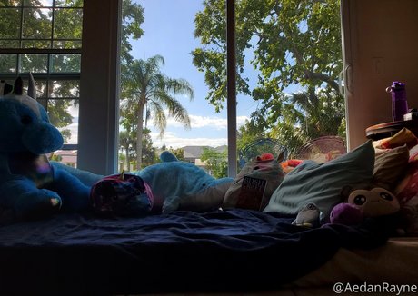 aedanraynevip heiße nette galerie