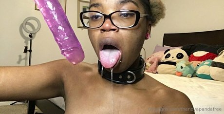 thenovapandafree xxx pornographische galerie