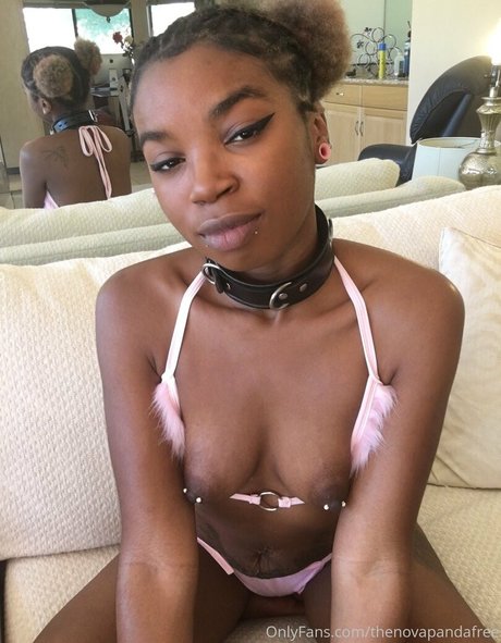 thenovapandafree top pornographische bilder