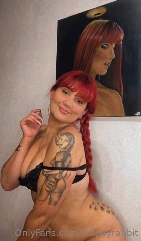 miladyrabbit schöne bilder