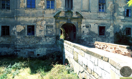 Veronica Zemanova Fotoaufnahmen