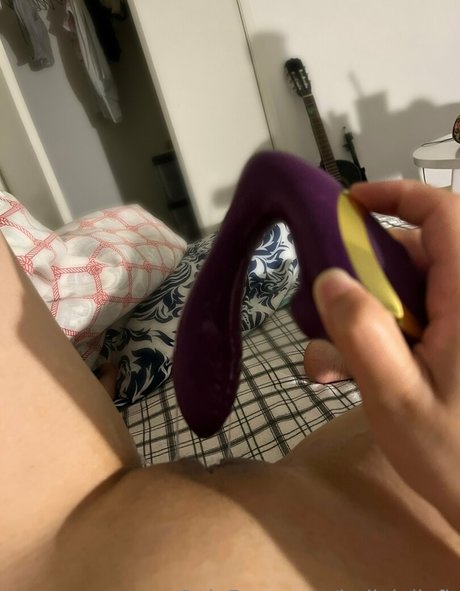 bellyjellyfh hd kostenlose bild