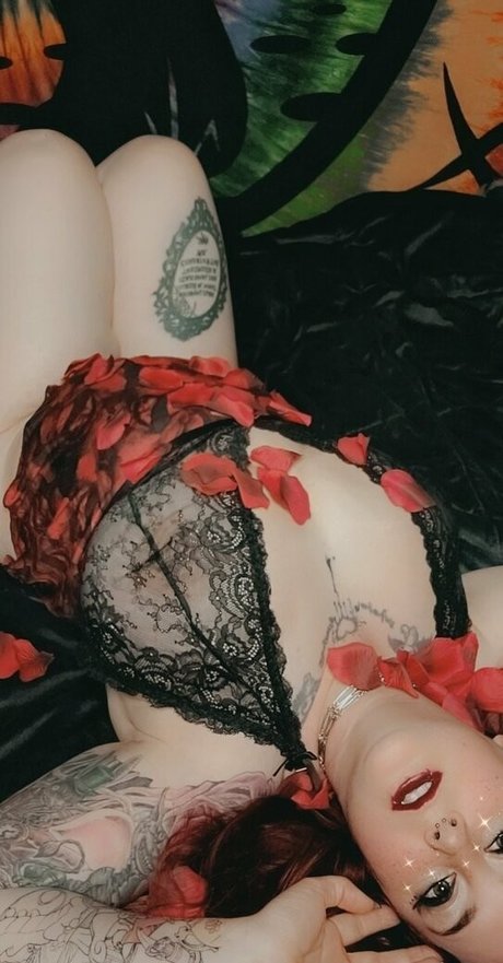 paradox 5683 kunst pornografische archiv