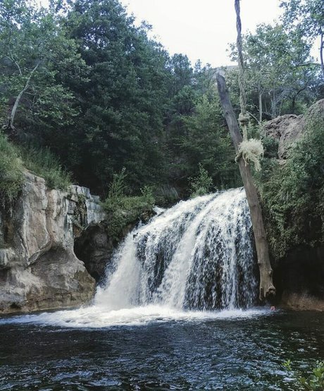 tattoo onlyfans erwachsene beste archiv