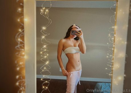 d o n u t s kunst perfekte galerie