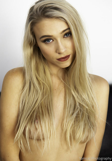 tomcat photography perfekte erwachsene foto