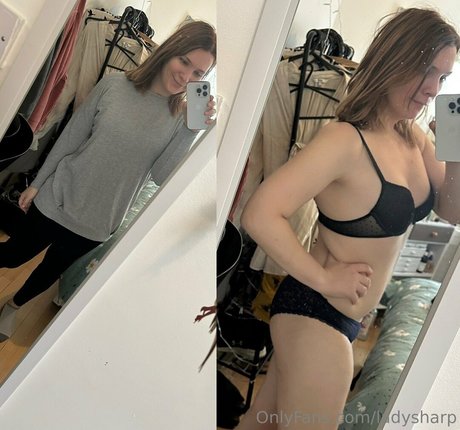 kätzchen nur fans hübsche perfekte foto