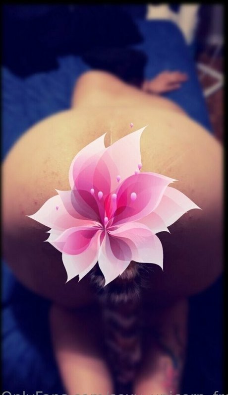 sexy unicorn free top schöne bild