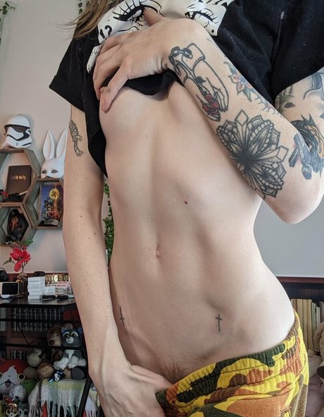 snoot freie schöne fotos