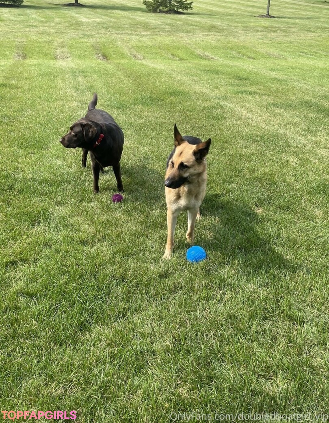 doubledboatgirl vip freie pornografische foto