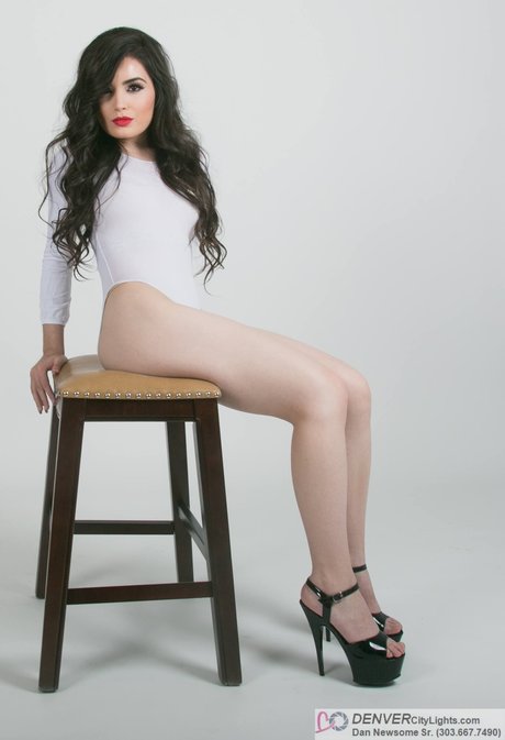 kätzchen nur fans freie hd foto