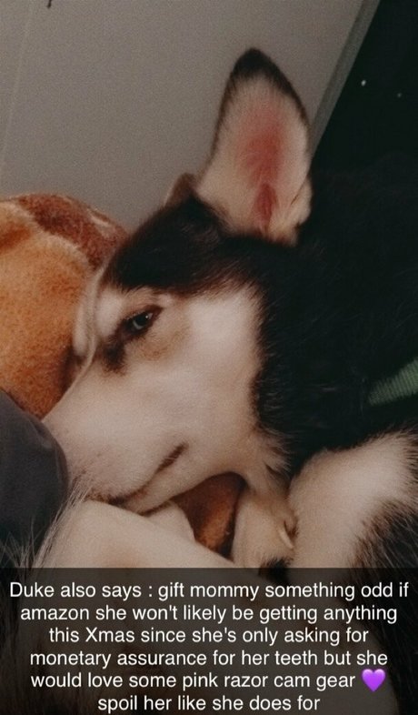 asiatische ehefrau nur fans freie hübsche foto